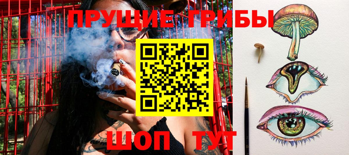Гуково  Галлюциногенные грибы MAGIC MUSHROOMS  Вход с VPN 