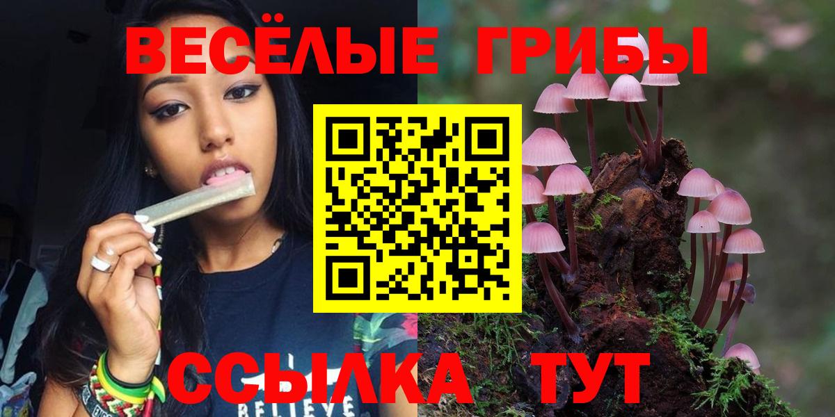 Псилоцибиновые грибы GOLDEN TEACHER Гуково